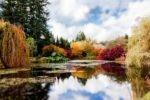 Adorn your space with this peaceful imagery of a serene pond in Vancouver, surrounded by the vivid hues of nature, offering a retreat for the eyes.