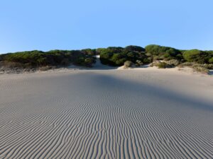 Experience the serene beauty captured in the intricate patterns etched by coastal winds on the sands of Costa de la Luz, Spain.