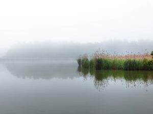 A tranquil depiction of Sudoměř Pond at dawn, where mist meets the soft embrace of reeds and distant shores whisper secrets.