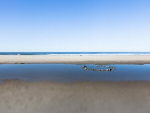 Discover the magical intersection of stone and sea with this evocative image, capturing a moment of tranquillity on the Oregon Coast.