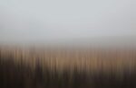 This captivating piece portrays a Southern Czechia field, beautifully immersed in thick fog