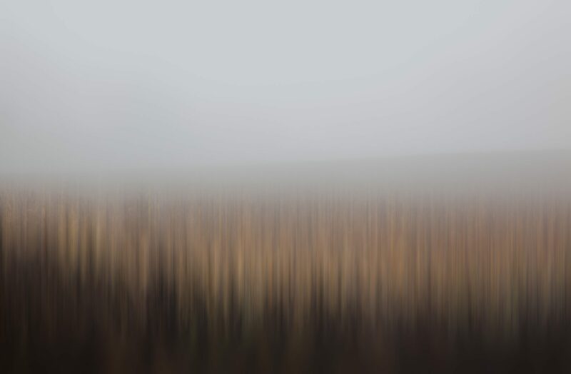 This captivating piece portrays a Southern Czechia field, beautifully immersed in thick fog