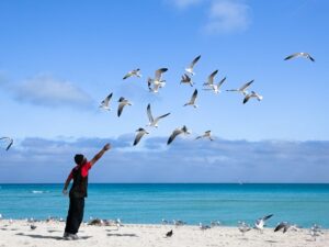 Immerse in the vibrant energies of Miami Beach, captured in a moment where man meets nature