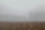 This piece reveals the serene beauty of a fog-enveloped harvest field in southern Czechia,