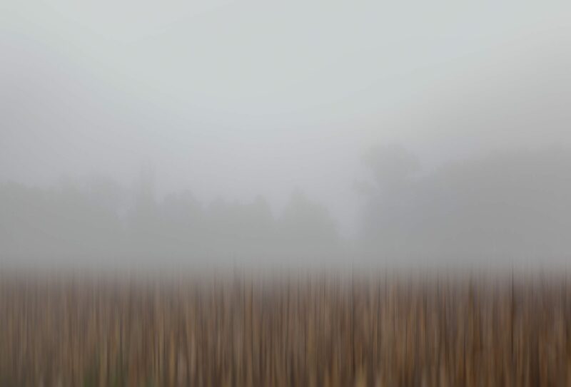 This piece reveals the serene beauty of a fog-enveloped harvest field in southern Czechia,