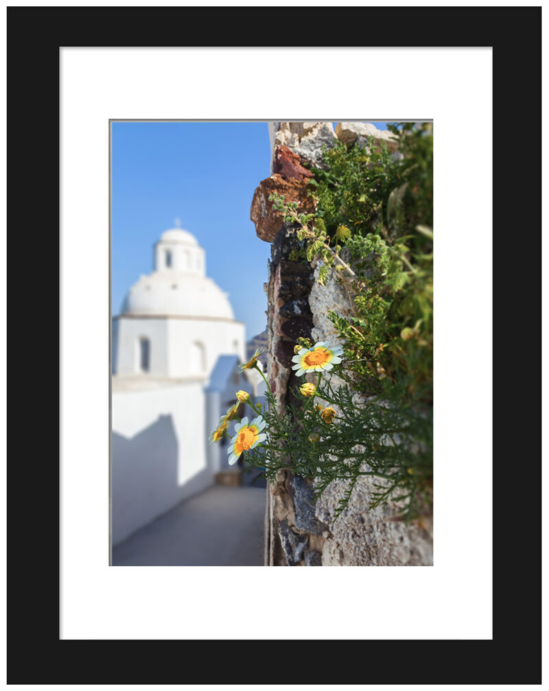 Ancient walkway in Fira, Santorini with yellow flowers and a white domed church in the distance.